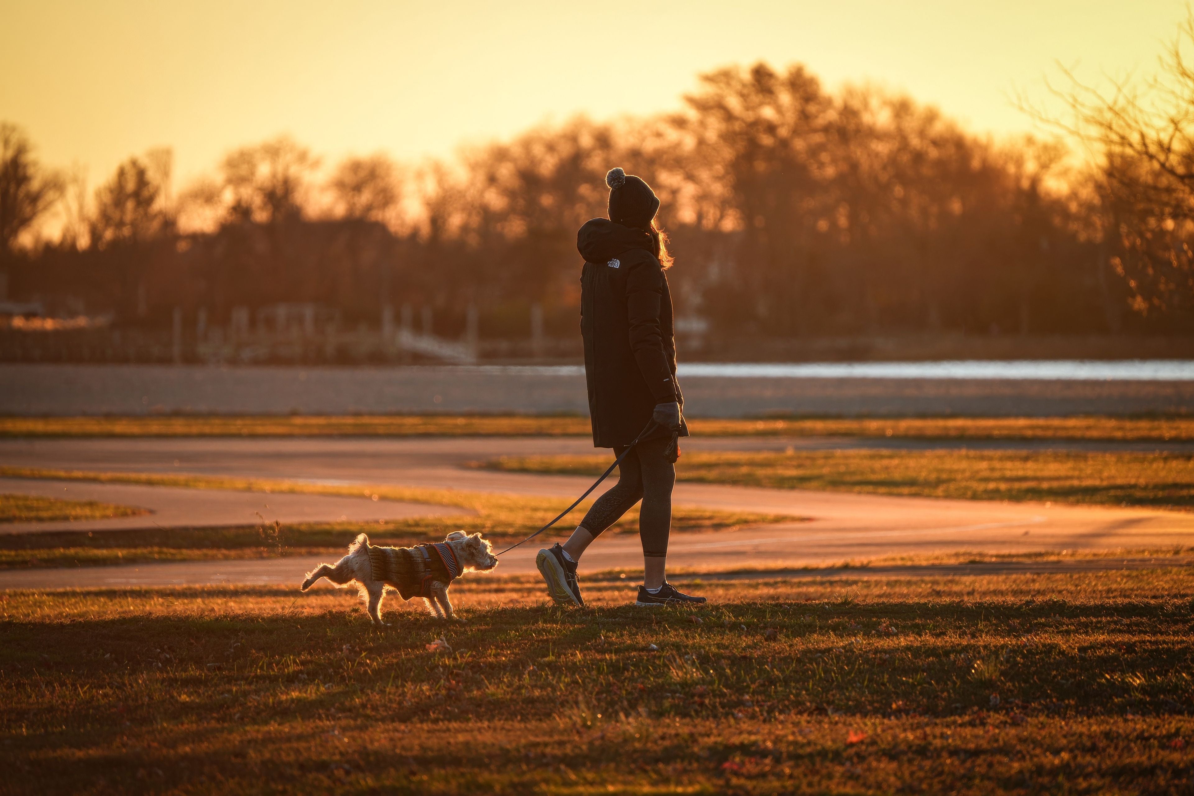 Woman walking her dog in a park at sunset